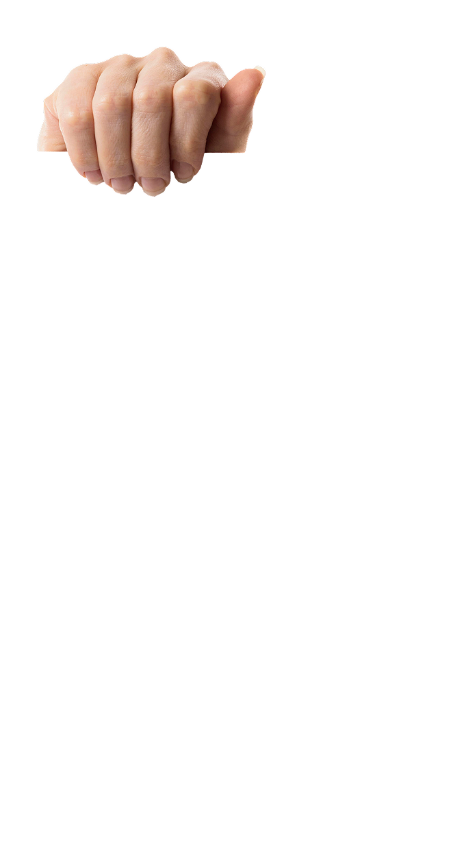 Hand illustration right